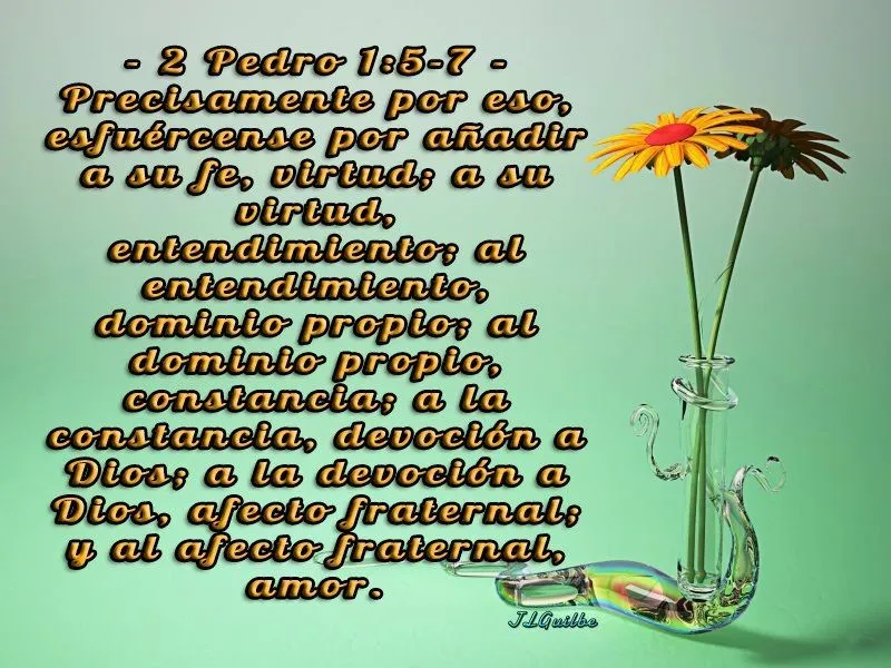 anadir-a-vuestra-fe-virtud