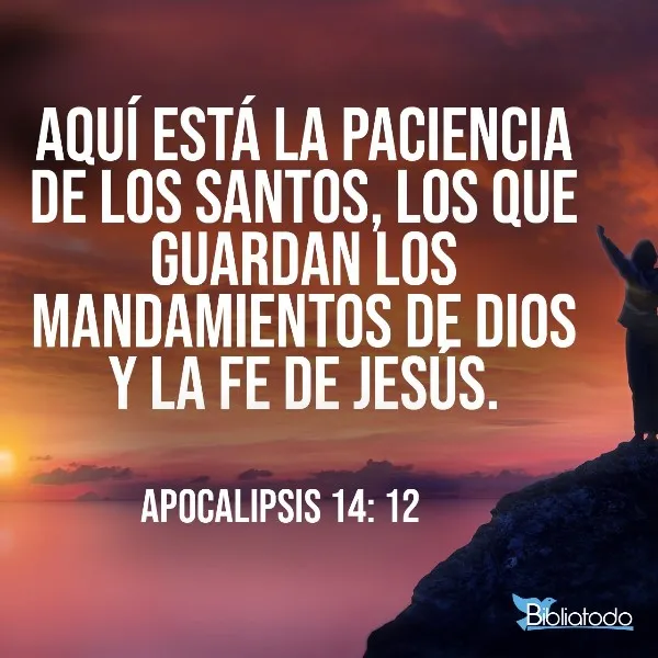 aqui-esta-la-paciencia-de-los-santos