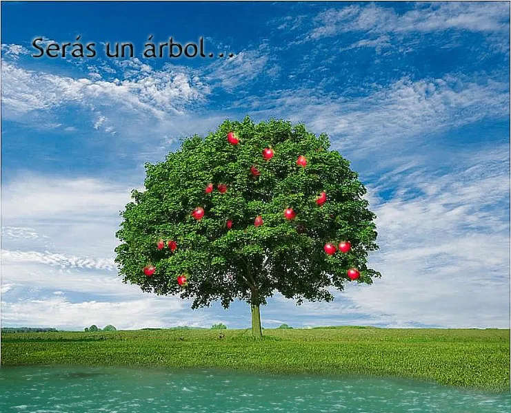 arbol-plantado-junto-a-corrientes-de-agua