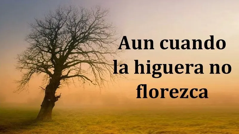 aunque-la-higuera-no-florezca
