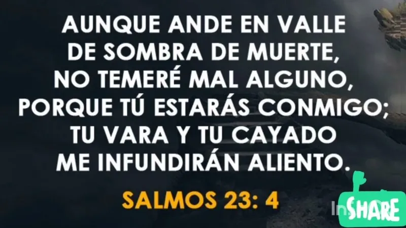 aunque-no-hayan-vacas-en-los-corrales