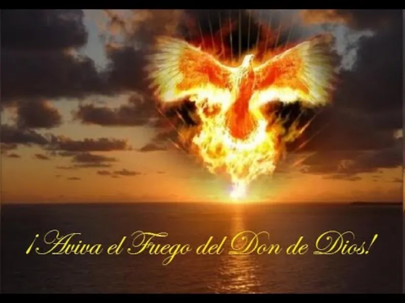 aviva-el-don-que-hay-en-ti