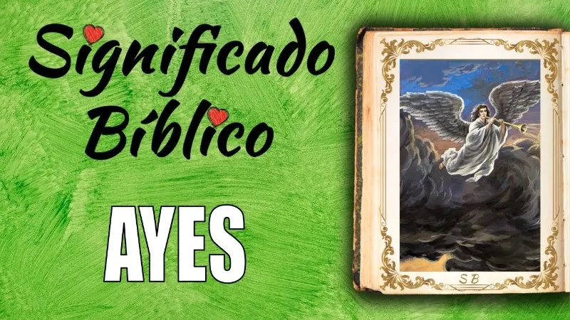 ayes-significado