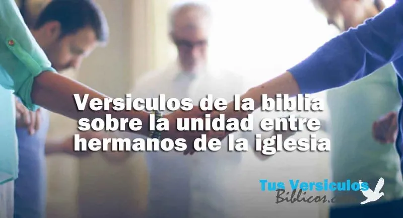 biblia-unidad