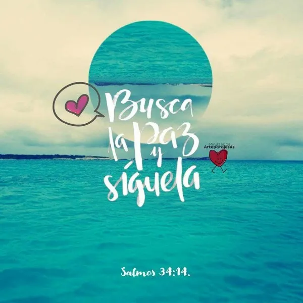 busca-la-paz-y-siguela