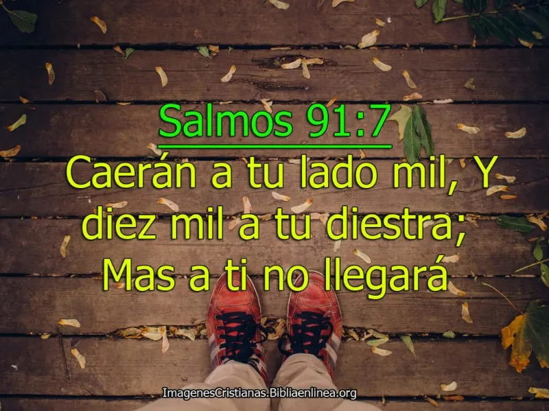 caeran-a-tu-lado-mil