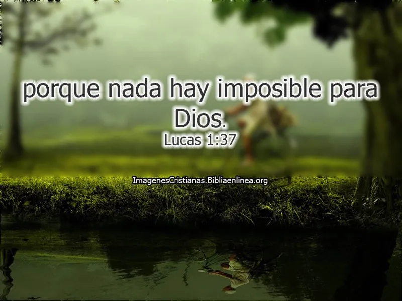 citas-biblicas