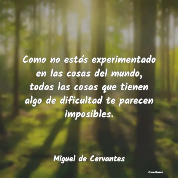 como-no-estas-experimentado-en-las-cosas-del-mundo