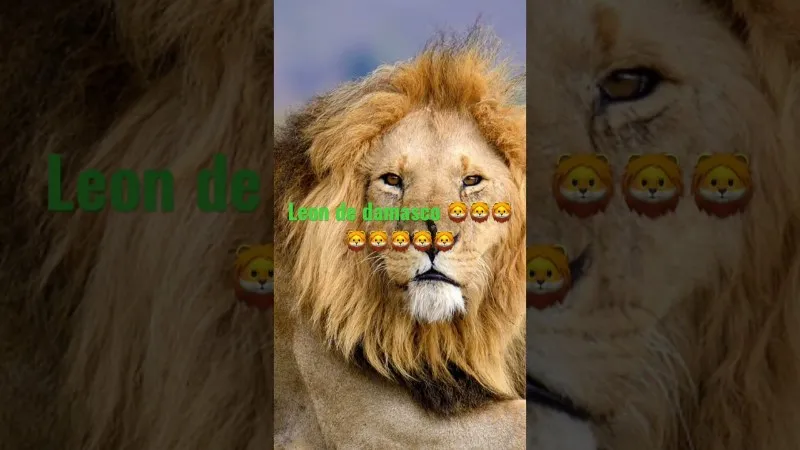 como-ruge-el-leon