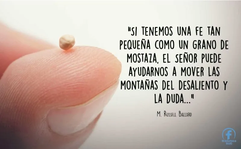 como-un-granito-de-mostaza