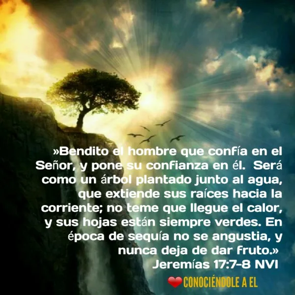 confianza-biblia