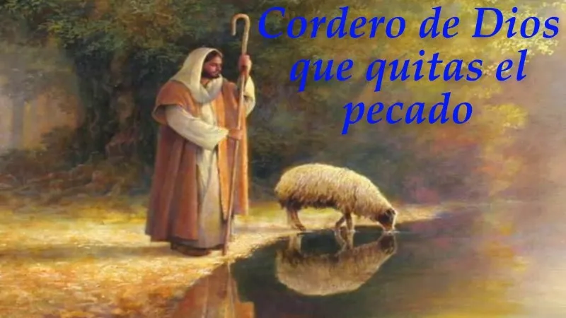 cordero-de-dios-que-quitas-el-pecado-del-mundo