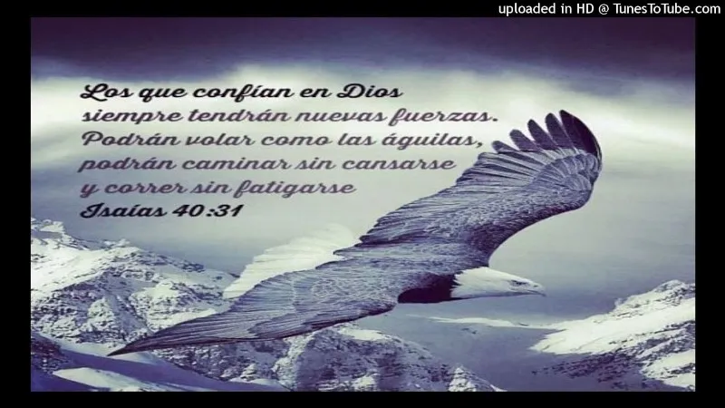correran-y-no-se-cansaran
