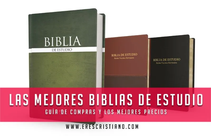 cual-es-la-mejor-biblia-de-estudio