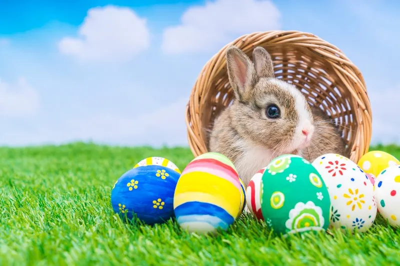 cuando-es-el-dia-de-pascua