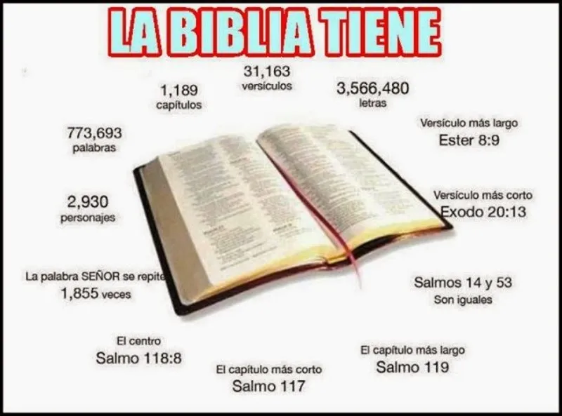 cuantas-paginas-tiene-la-biblia