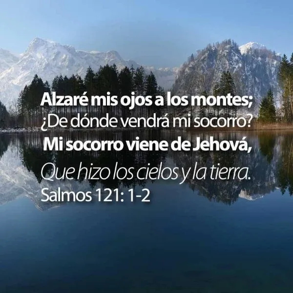 de-donde-vendra-mi-socorro-biblia