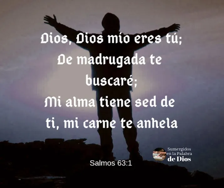 de-madrugada-te-buscare-biblia