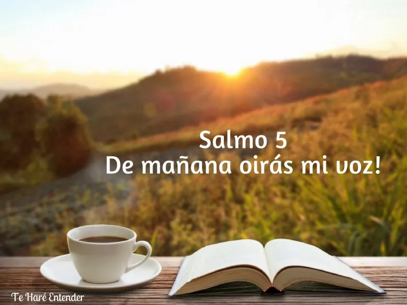 de-manana-oiras-mi-voz
