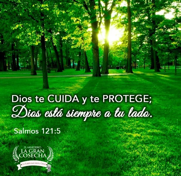 dios-nos-cuida-y-nos-protege