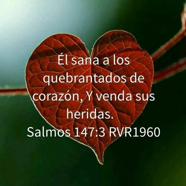 dios-sanara