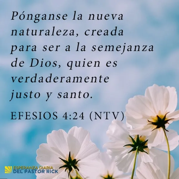 disolucion-significado-biblico