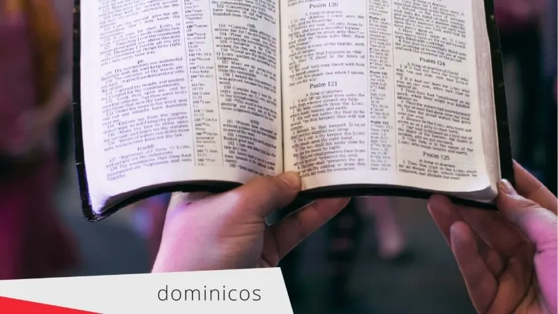 dominicos-evangelio-de-hoy