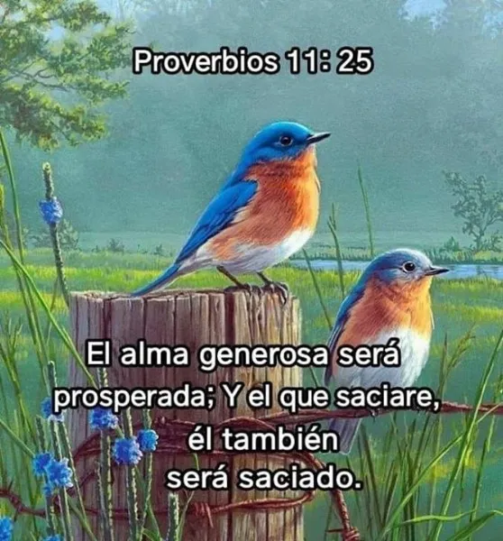 el-alma-generosa-sera-prosperada