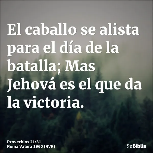 el-caballo-se-alista-para-la-batalla