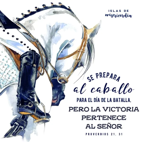 el-caballo-se-alista-para-la-batalla