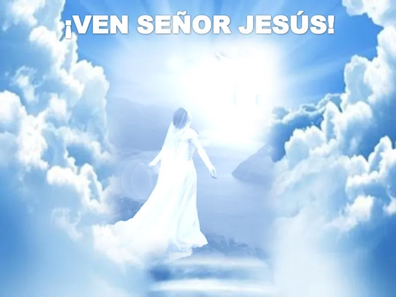 el-espiritu-y-la-novia-dicen-ven