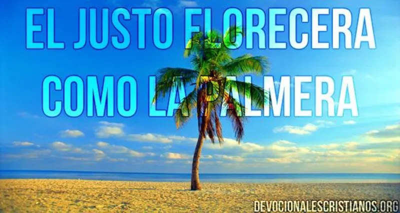 el-justo-florecera-como-la-palma