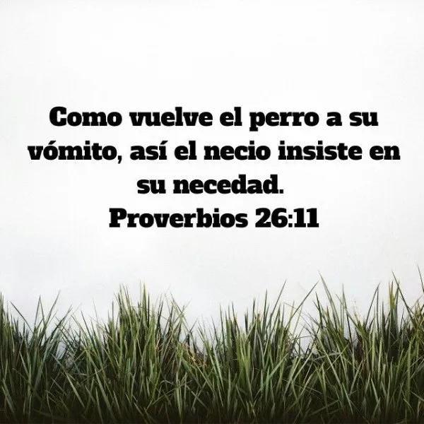 el-perro-vuelve-asu-vomito