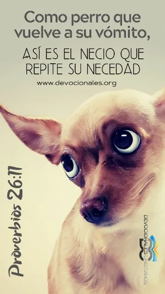 el-perro-vuelve-asu-vomito