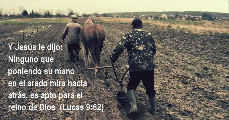 el-q-pone-la-mano-en-el-arado