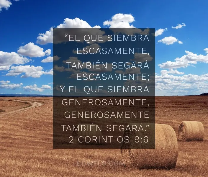 el-q-siembra-escasamente