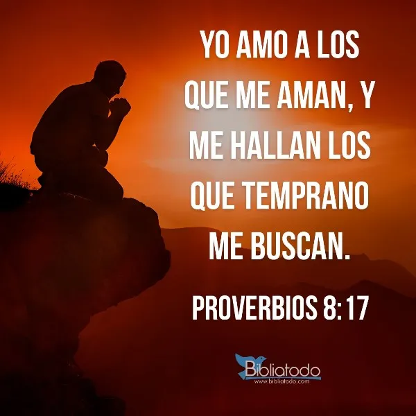 el-que-busca-encuentra-biblia