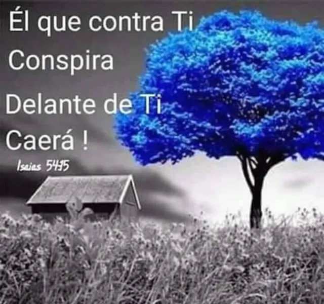 el-que-contra-ti-conspirare-delante-de-ti-caera