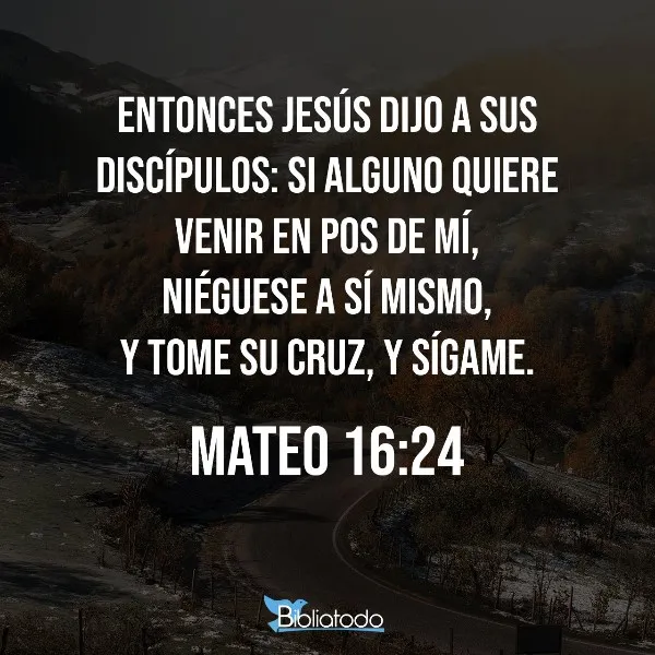 el-que-quiera-venir-en-pos-de-mi