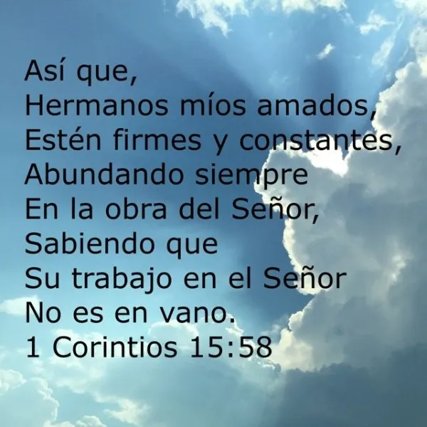 el-trabajo-en-el-senor-no-es-en-vano