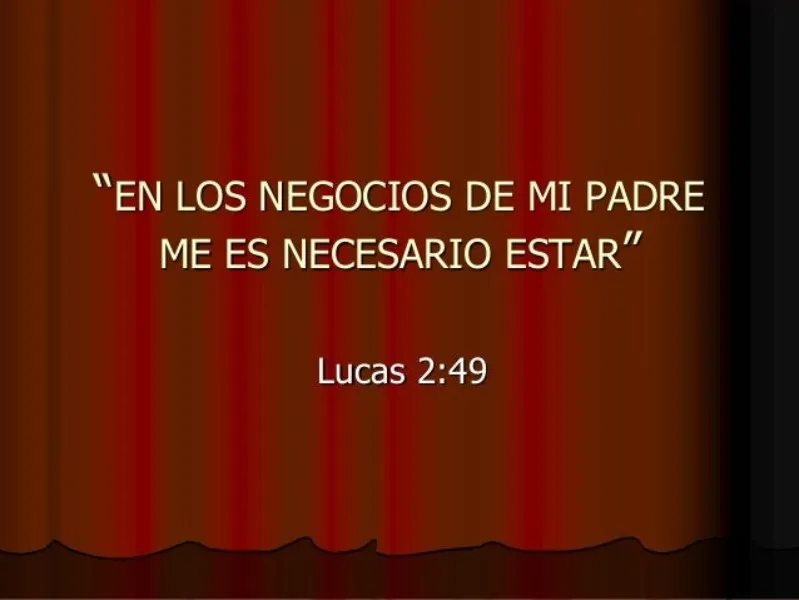 en-los-negocios-de-mi-padre