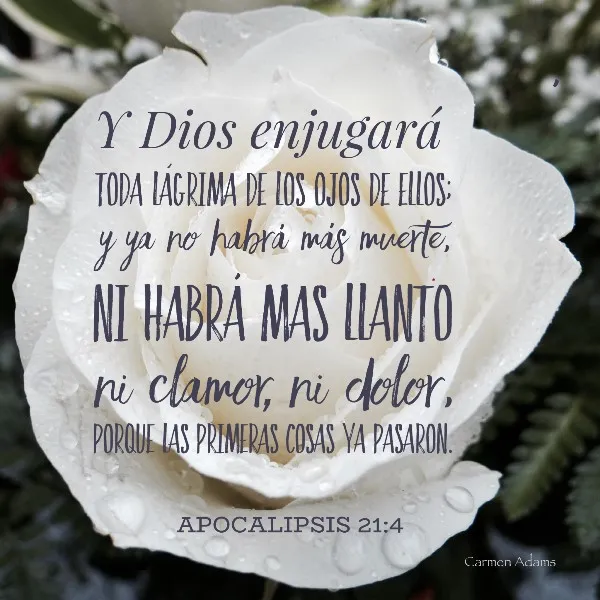 enjugara-dios-toda-lagrima