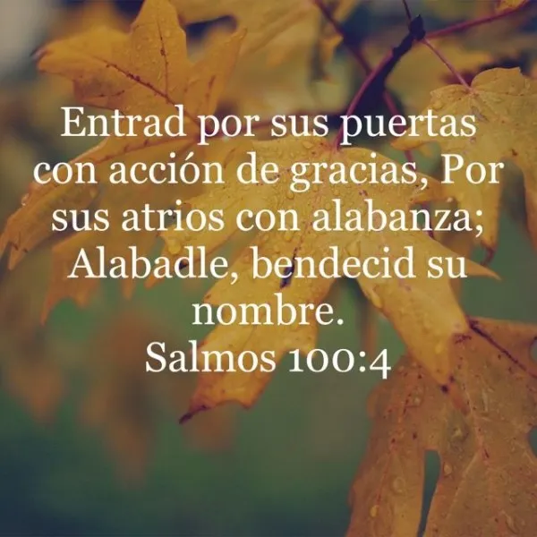 entrad-por-sus-puertas