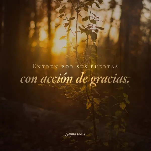 entrar-por-sus-puertas-con-accion-de-gracias