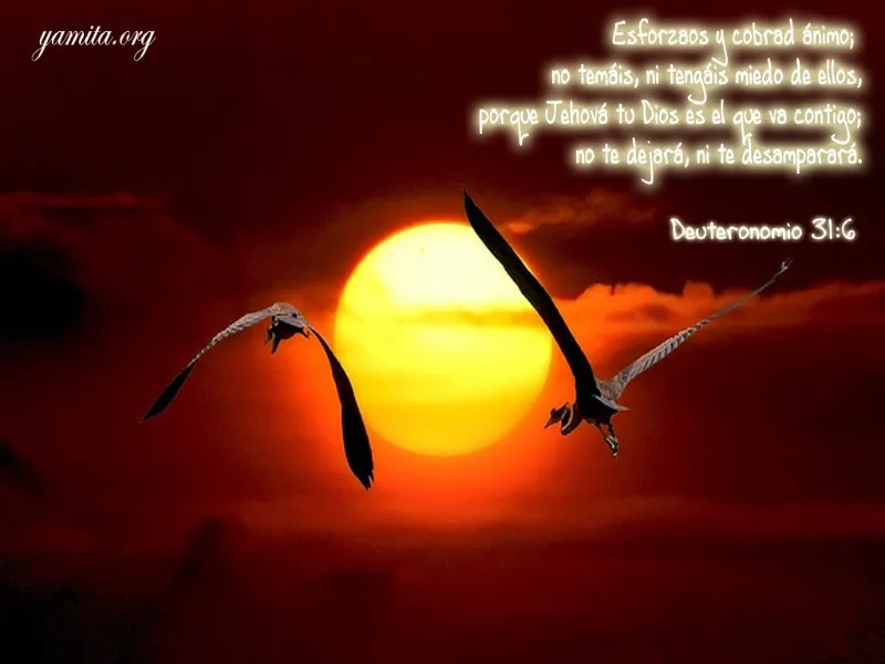 esforzaos-y-cobrad-animo