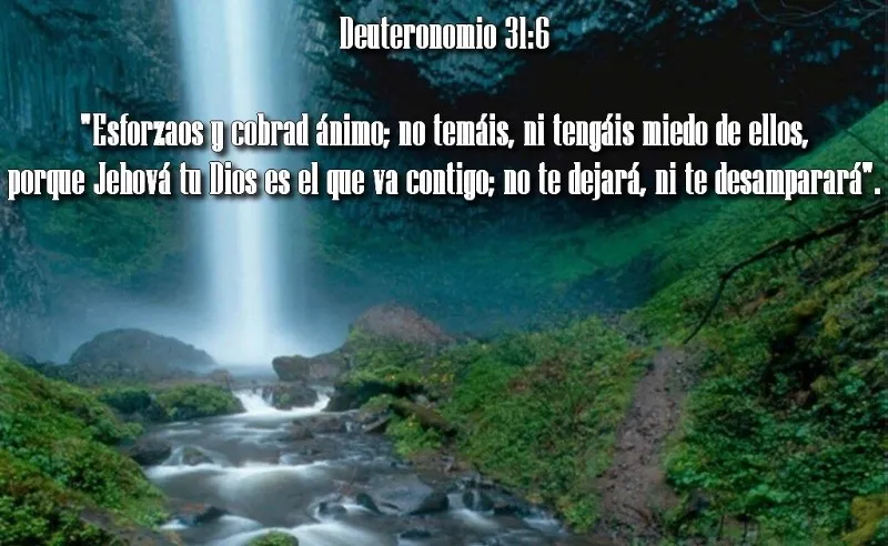 esforzaos-y-cobrad-animo