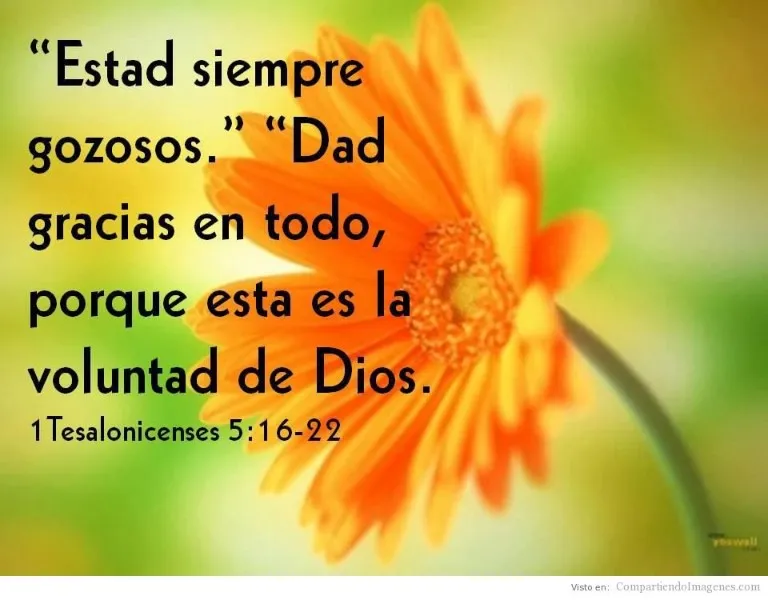 estad-siempre-gozosos