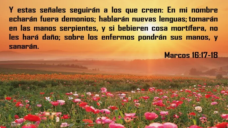 estas-senales-seguiran-a-los-que-creen