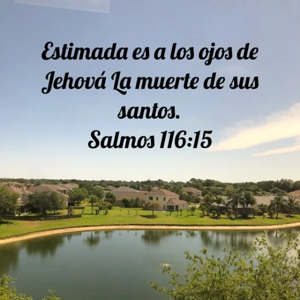 estima-la-muerte-de-sus-santos
