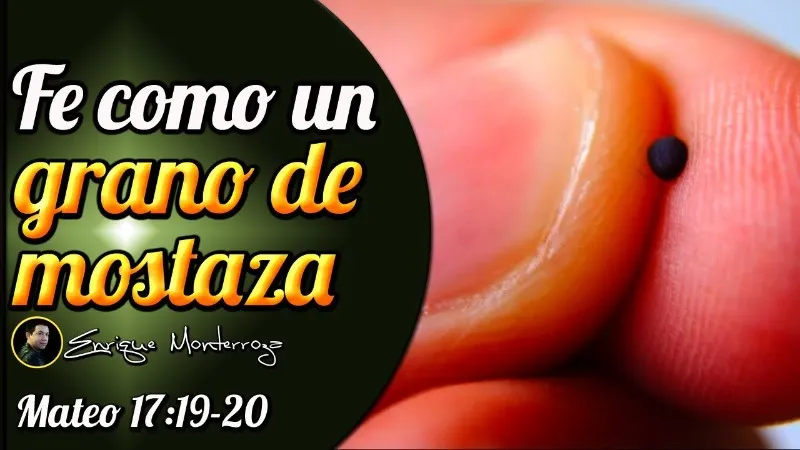 fe-como-un-grano-de-mostaza